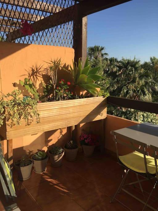 Superbe Appartement Avec Piscine A 800M De La Mer Bahia de Casares Bagian luar foto